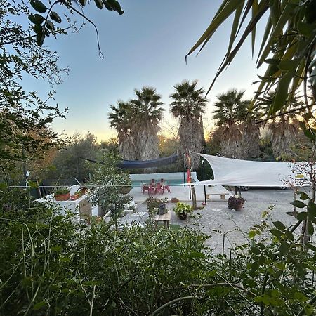 Loft Independiente "La Casita Del Olivo Centenario" Κόρδοβα Εξωτερικό φωτογραφία