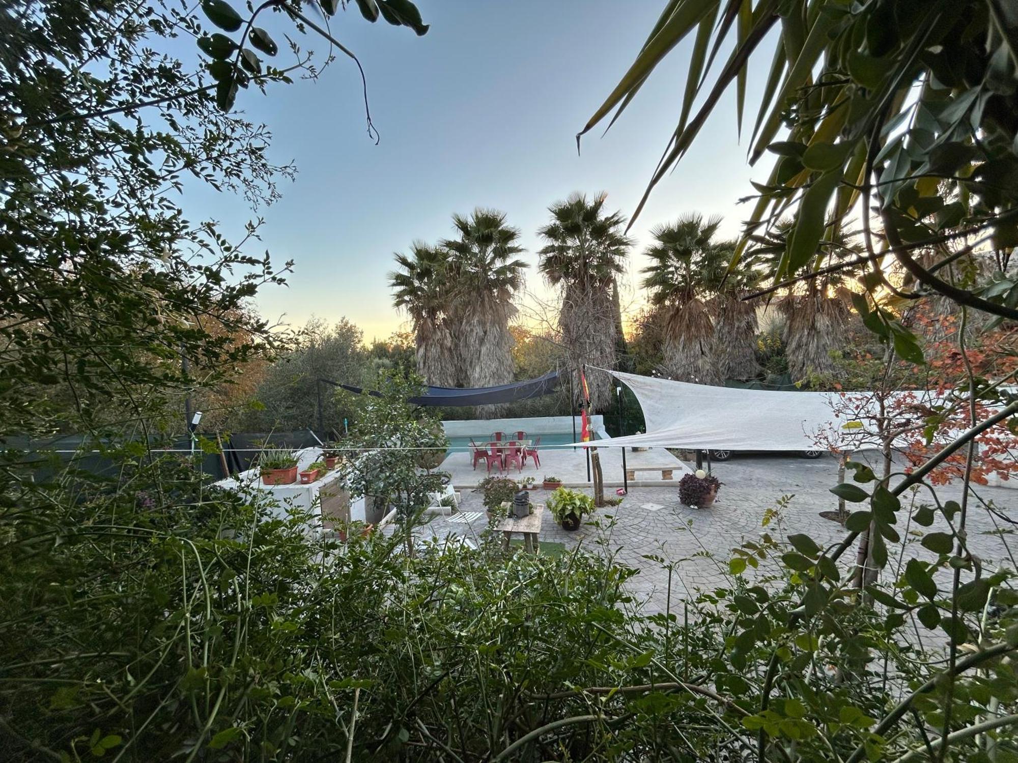 Loft Independiente "La Casita Del Olivo Centenario" Κόρδοβα Εξωτερικό φωτογραφία