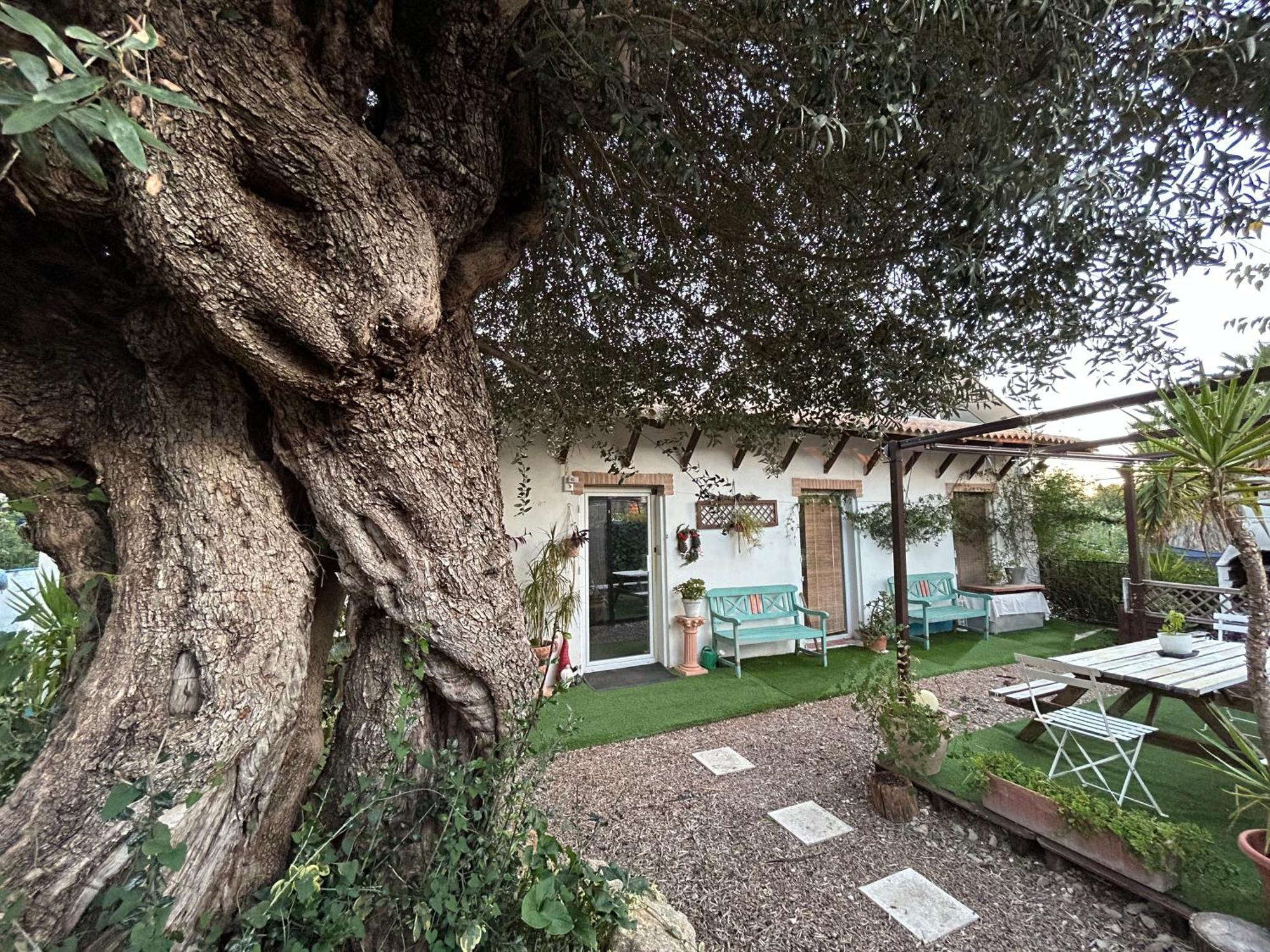Loft Independiente "La Casita Del Olivo Centenario" Κόρδοβα Εξωτερικό φωτογραφία