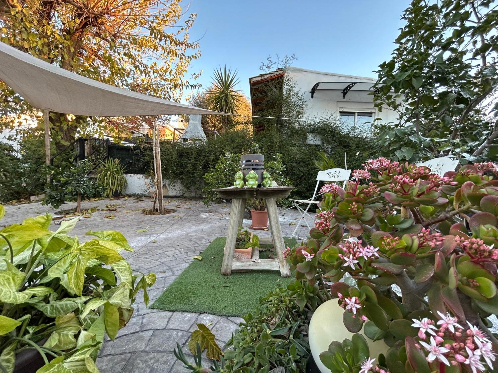 Loft Independiente "La Casita Del Olivo Centenario" Κόρδοβα Εξωτερικό φωτογραφία
