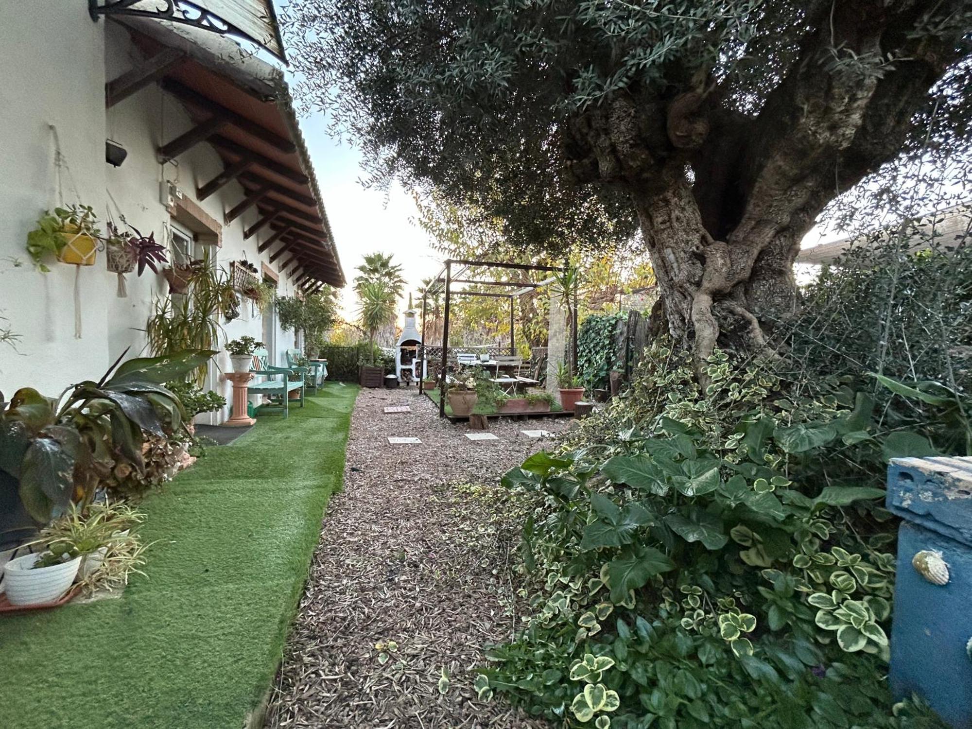Loft Independiente "La Casita Del Olivo Centenario" Κόρδοβα Εξωτερικό φωτογραφία