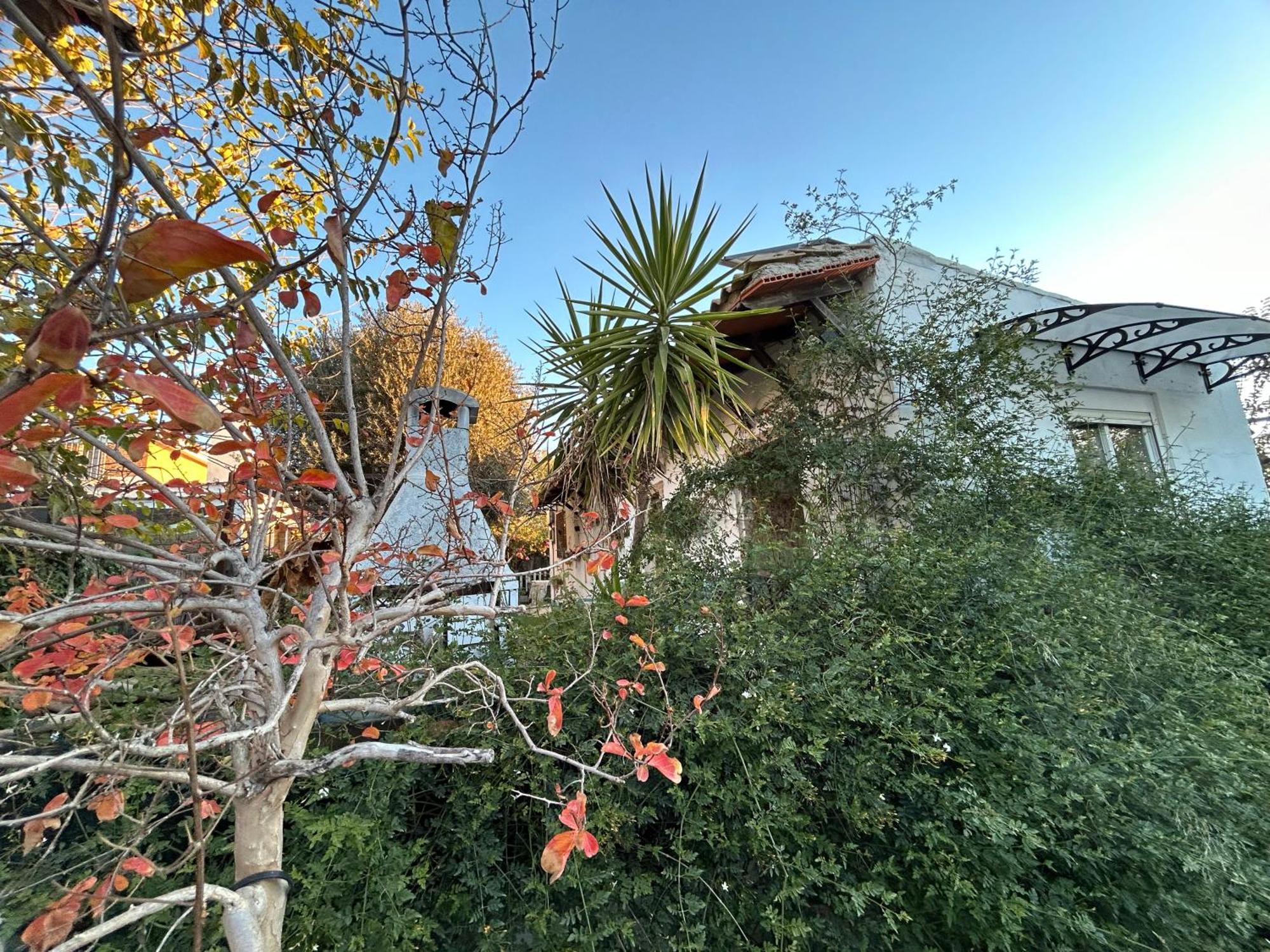 Loft Independiente "La Casita Del Olivo Centenario" Κόρδοβα Εξωτερικό φωτογραφία